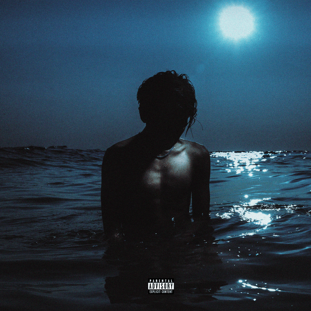 Cover image for ZO