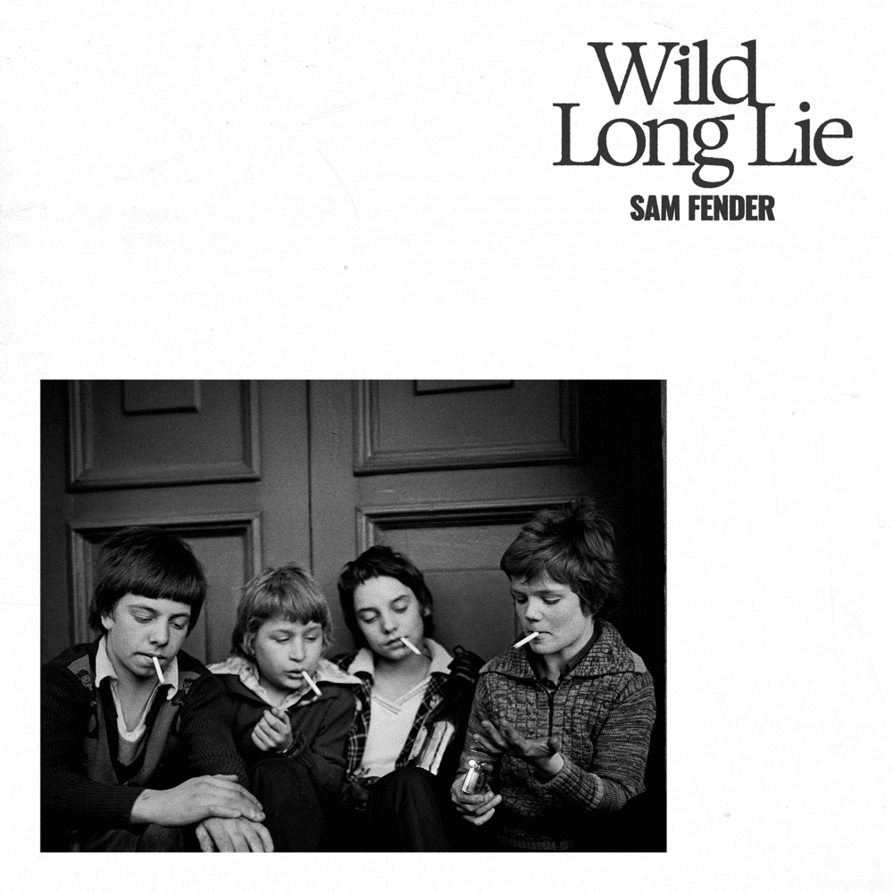 Album cover art for "Wild Long Lie" by Sam Fender