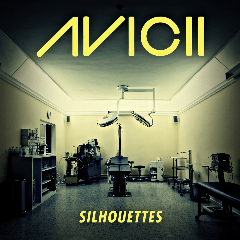 Cover image for Silhouettes