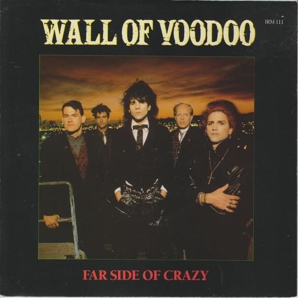Cover image for Far Side Of Crazy