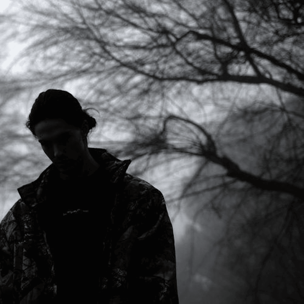 Cover image for Powder