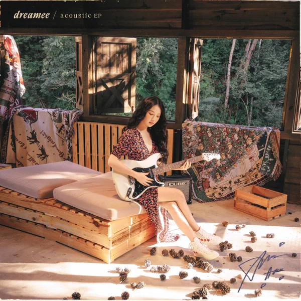 Cover image for dreAMEE (acoustic)