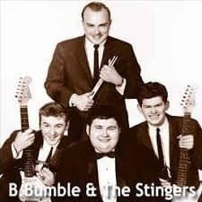 Cover image for B. Bumble & the Stingers
