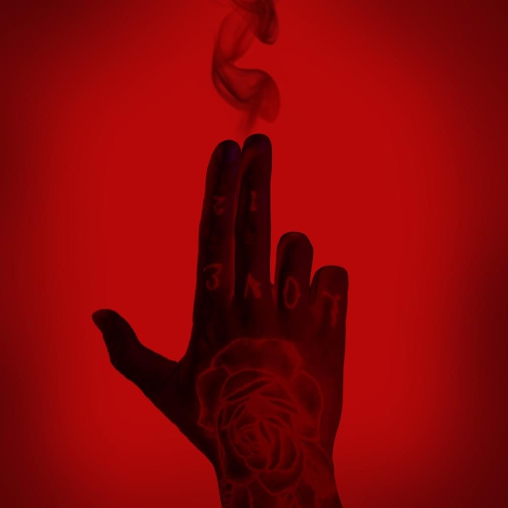 Album cover art for "Sık" by Tepki