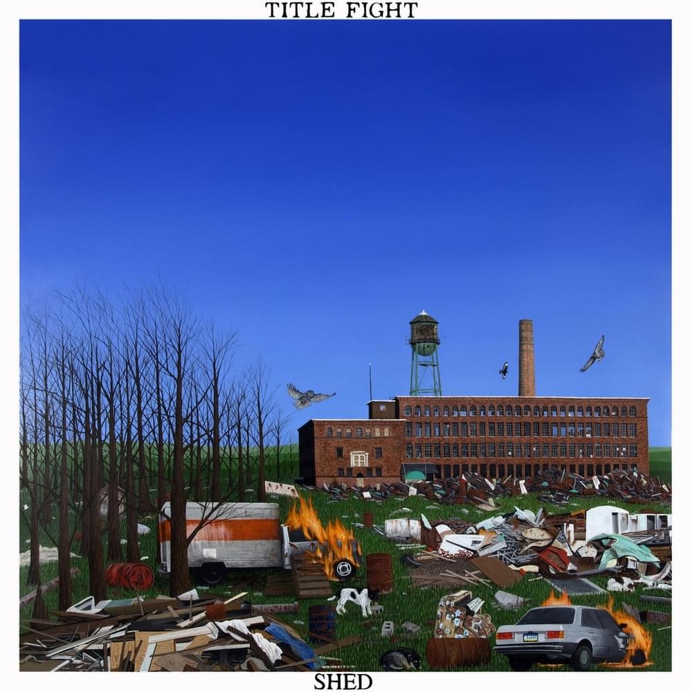 Safe in Your Skin by Title Fight