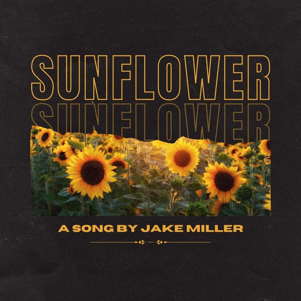 Album cover art for "Sunflower" by Jake Miller
