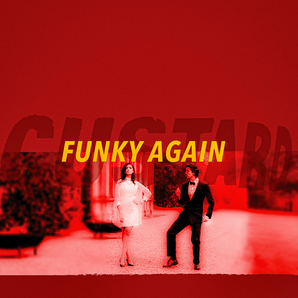 Album cover art for "Funky Again" by Custard