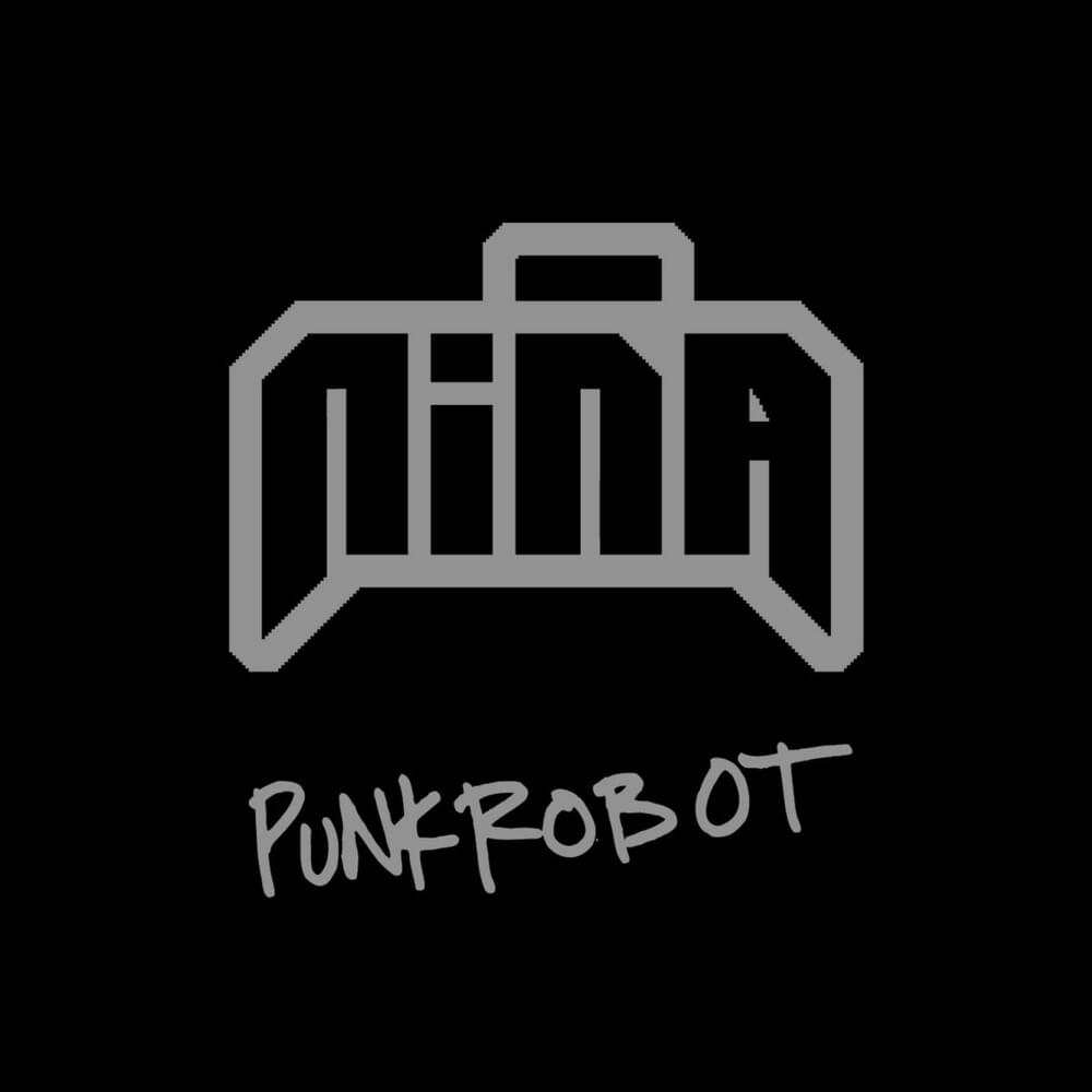 Cover image for Punkrobot