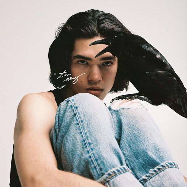 Album cover art for "Conan Gray - The Story (Traducción al Español)" by Genius Traducciones al Español
