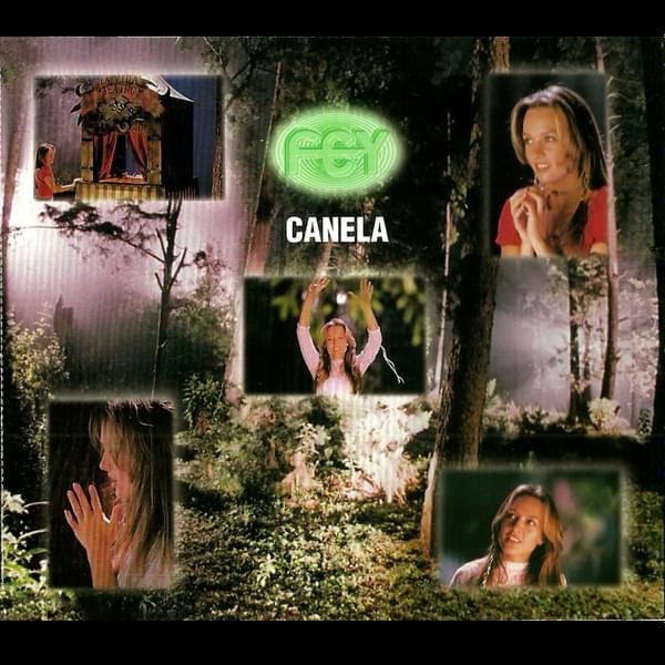 Album cover art for "Canela" by Fey