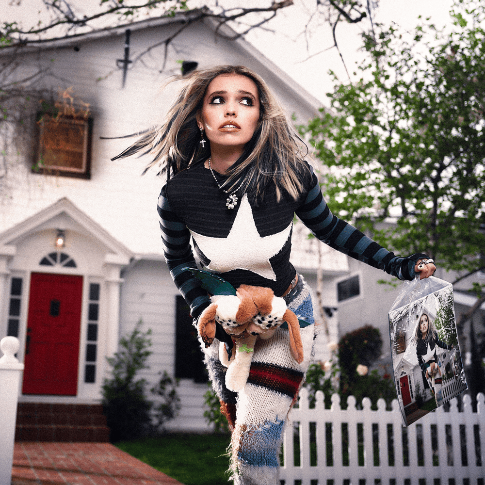 Cover image for High Concept