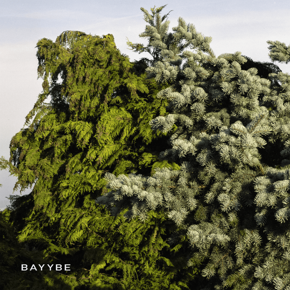 Album cover art for "Bayybe 10" by Bilo 503