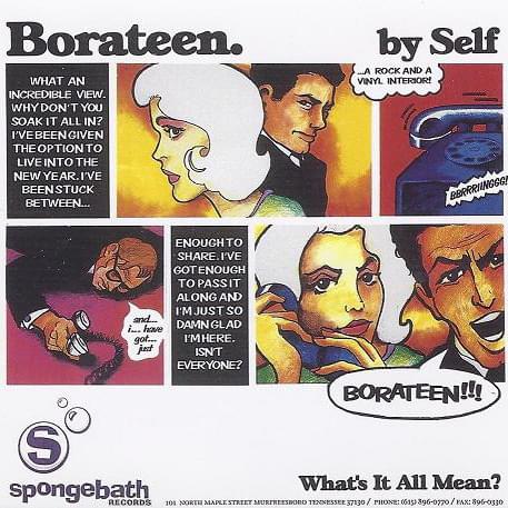 Album cover art for "Borateen" by ​sElf