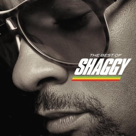 Cover image for The Best of Shaggy