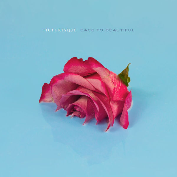 Album cover art for "New Face" by Picturesque