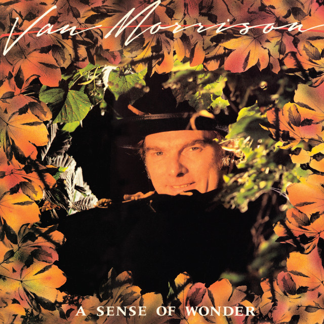 Album cover art for "Tore Down a la Rimbaud" by Van Morrison
