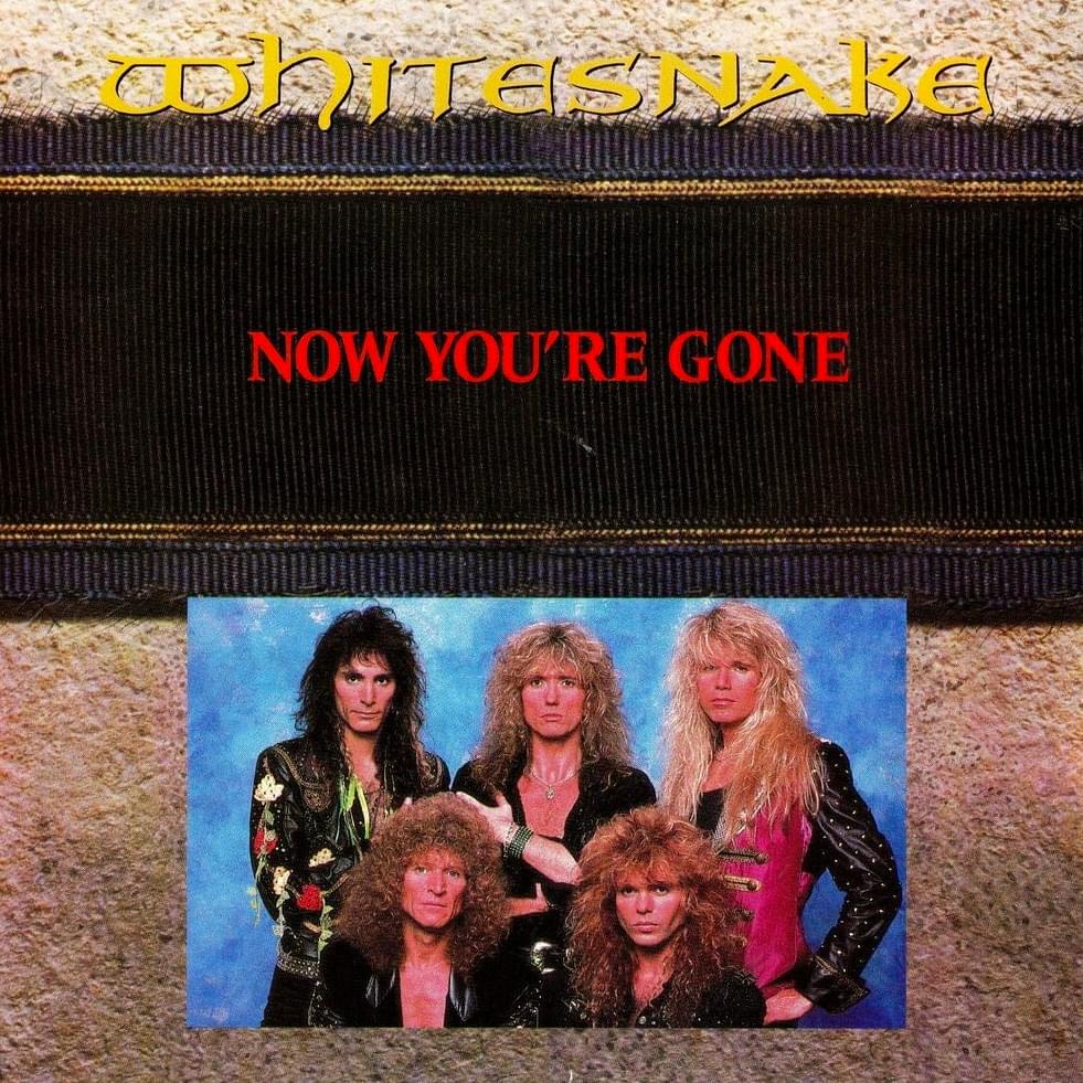 Album cover art for "Now You’re Gone" by Whitesnake