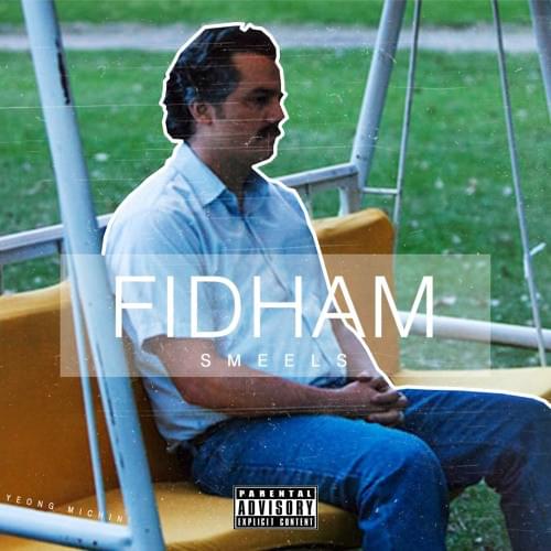 Cover image for FIDHAM