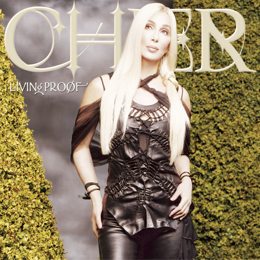 Album cover art for "Rain, Rain" by Cher