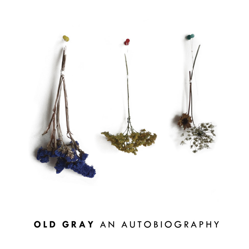 Wolves by Old Gray