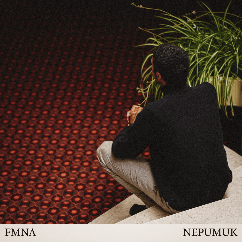 Album cover art for "FMNA" by Nepumuk