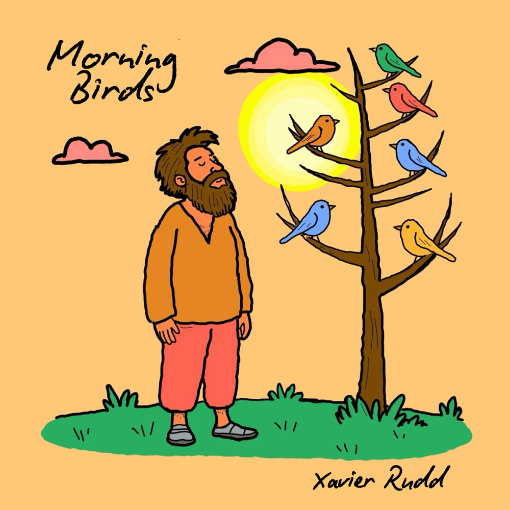 Album cover art for "Morning Birds" by Xavier Rudd