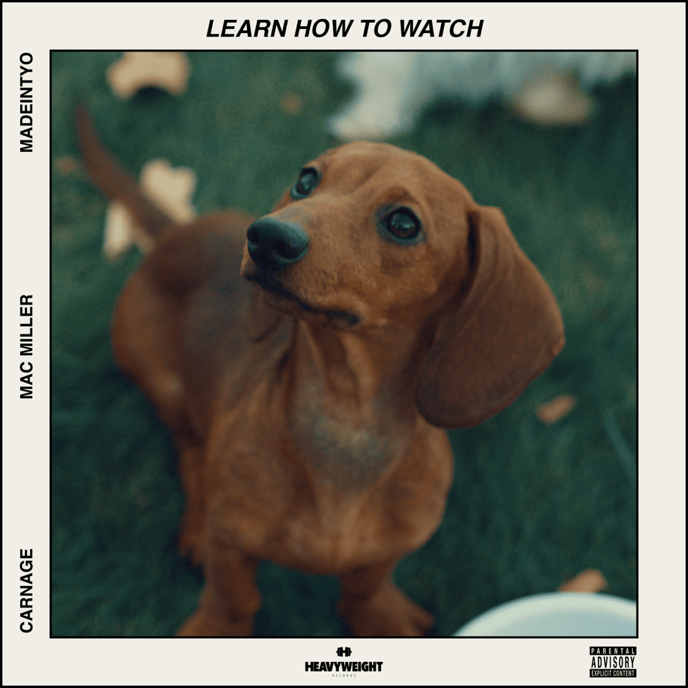 Learn How to Watch by Gordo