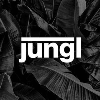 Cover image for Jungl