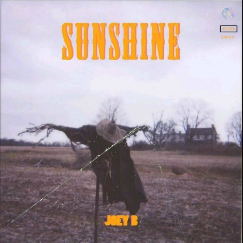 Sunshine by Joey B