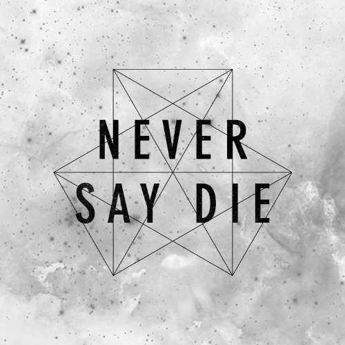 Cover image for Never Say Die Records