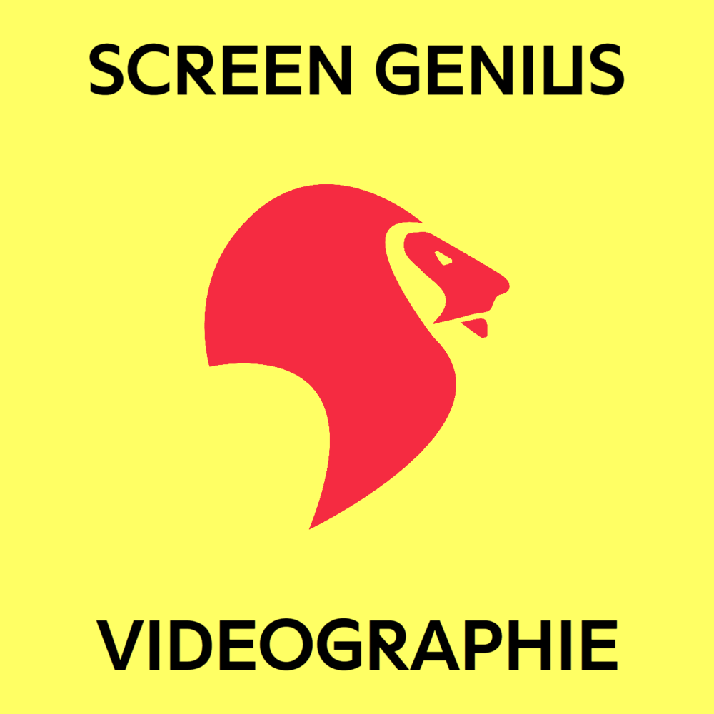 Album cover art for "Videographie: Seyed" by Screen Genius Deutschland & Screen Genius