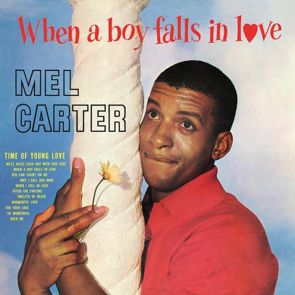 Cover image for When a Boy Falls in Love