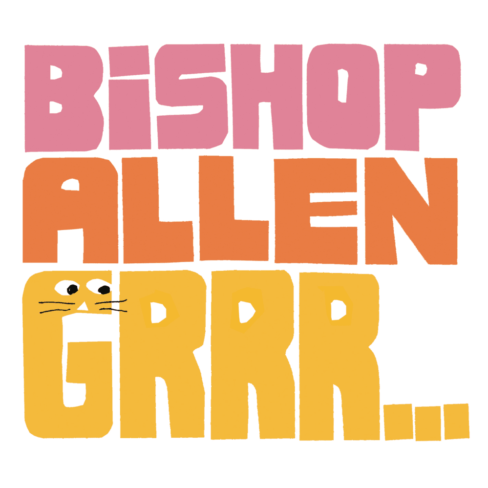 Rooftop Brawl by Bishop Allen