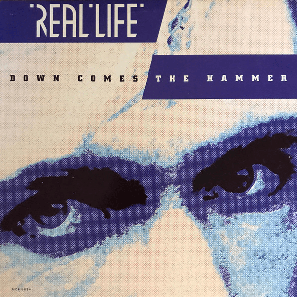 Cover image for Down Comes the Hammer