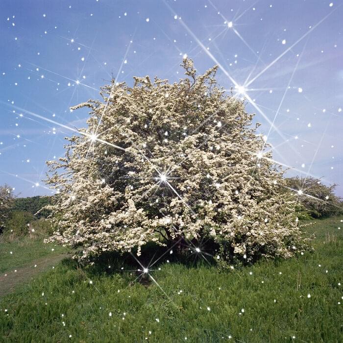 Album cover art for "Volume" by Caribou