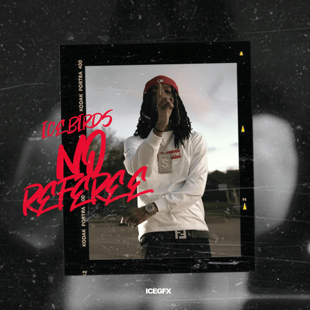 Album cover art for "No Referee" by IceBirds