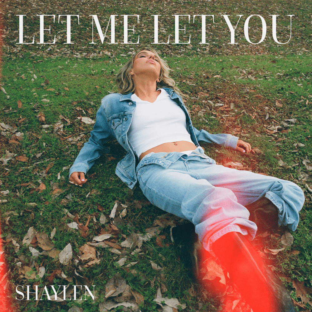 Album cover art for "Let Me Let You" by Shaylen
