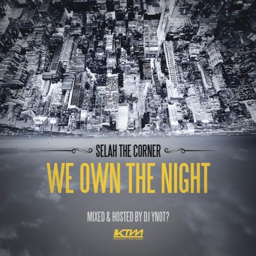 Cover image for We Own the Night