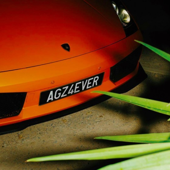 Cover image for AGZ4EVER