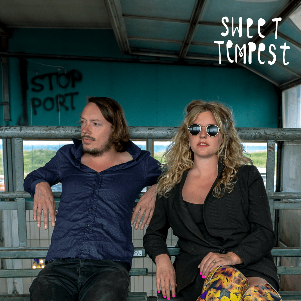 Album cover art for "Maybe, How?" by Sweet Tempest