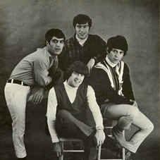 Cover image for The Koobas