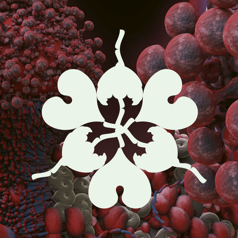 Album cover art for "Ovule (Sega Bodega Remix)" by Björk & Sega Bodega