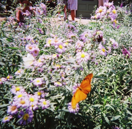 Album cover art for "Lil Tokyo (Disposable)" by gnash