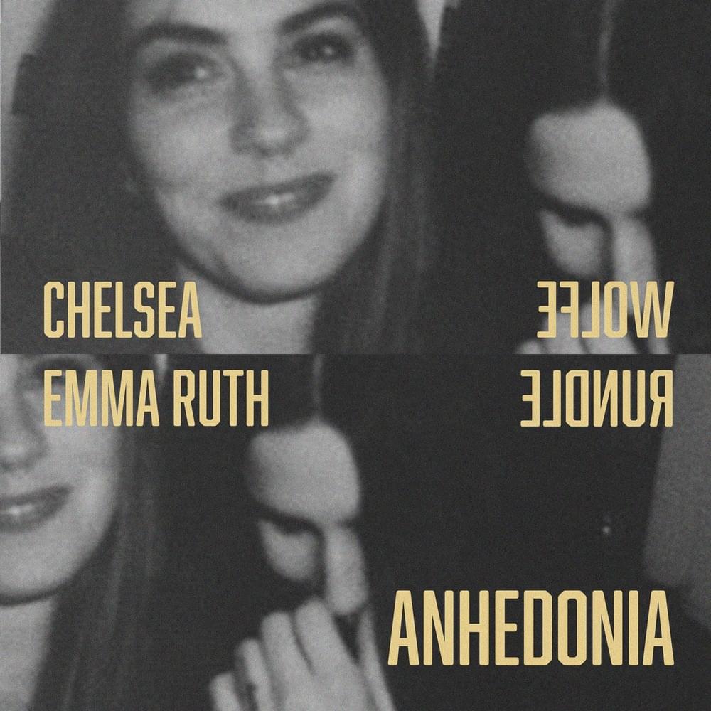 Cover image for Anhedonia