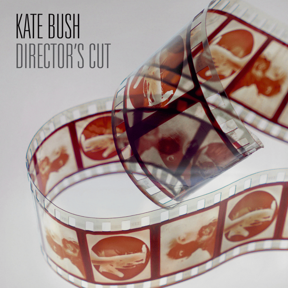 Cover image for Director’s Cut