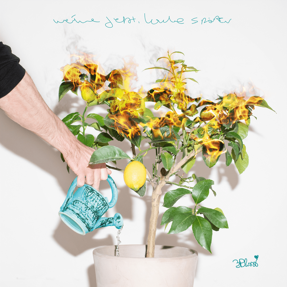 Album cover art for "NA DANN" by 3Plusss & Tua