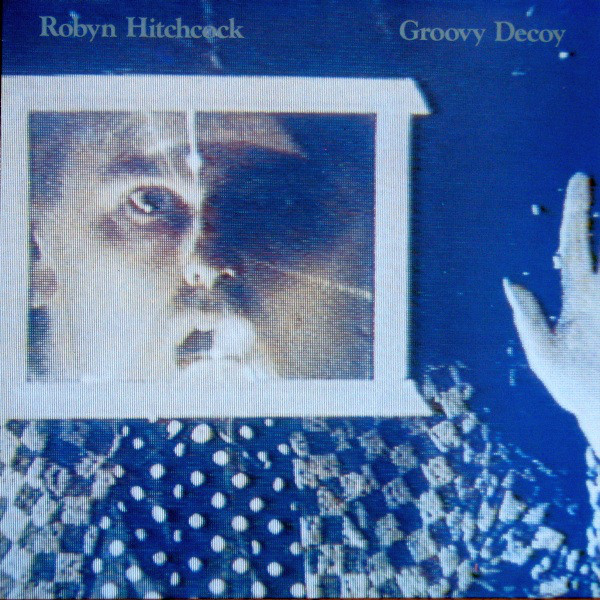 Cover image for Groovy Decoy