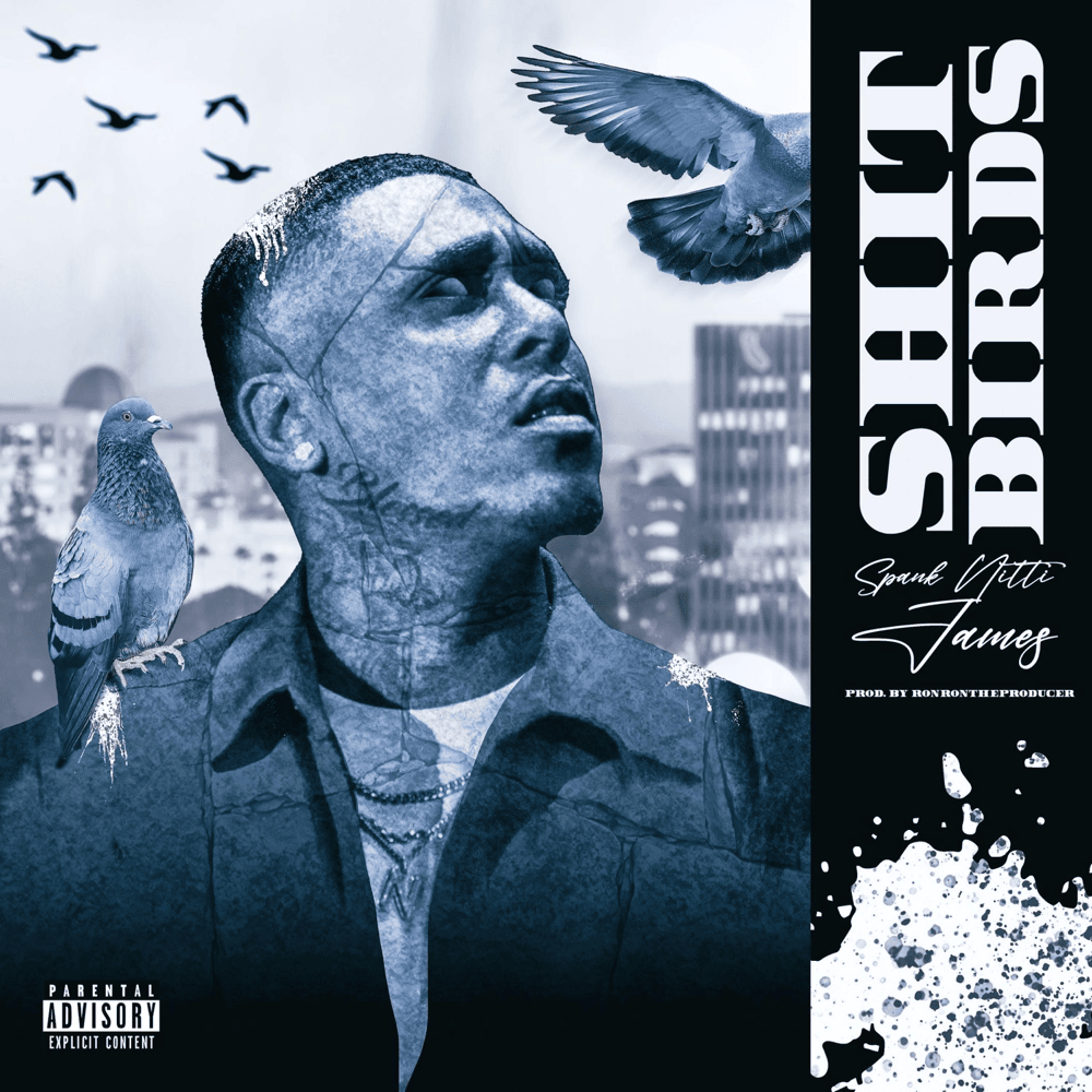 Album cover art for "Shitbirds" by Spank Nitti James