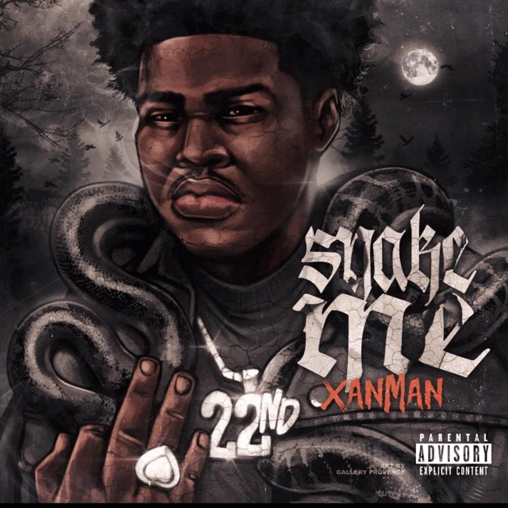 Cover image for Snake Me