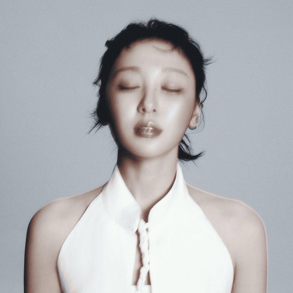 DIM by Yves